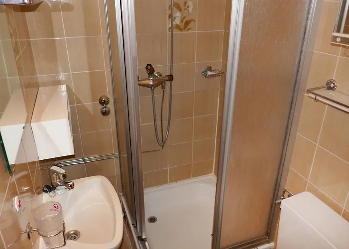 Rossignol C4 By Interhome Apartamento Nendaz